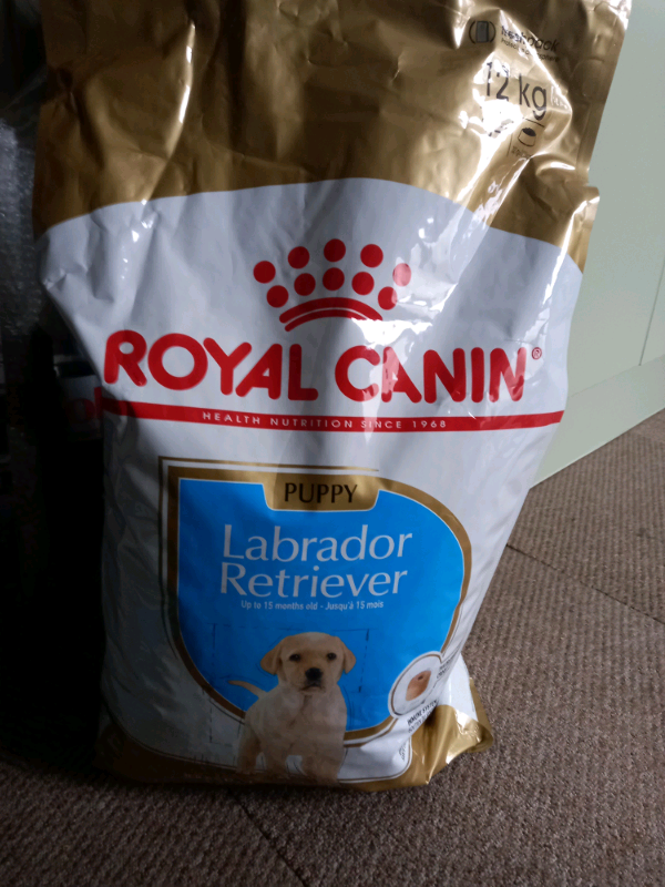 royal canin lab junior